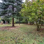 Apartamento Wilhelm *